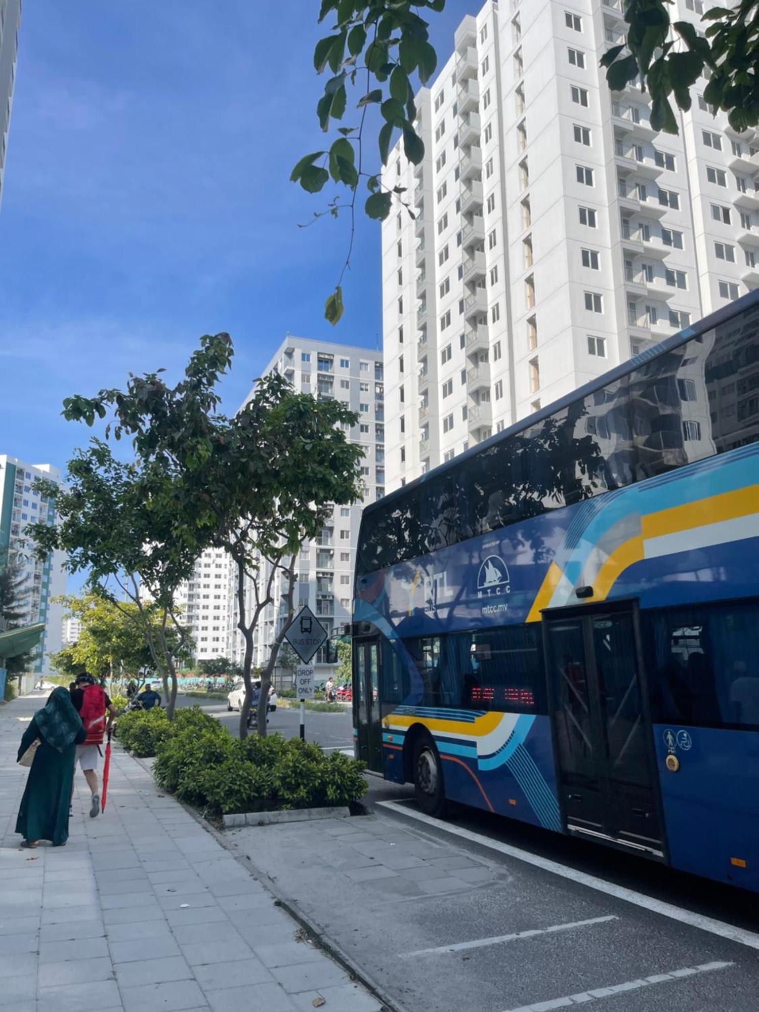 Clove Hulhumale